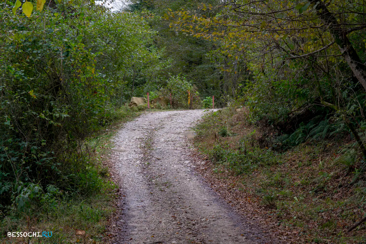гора Овсянникова