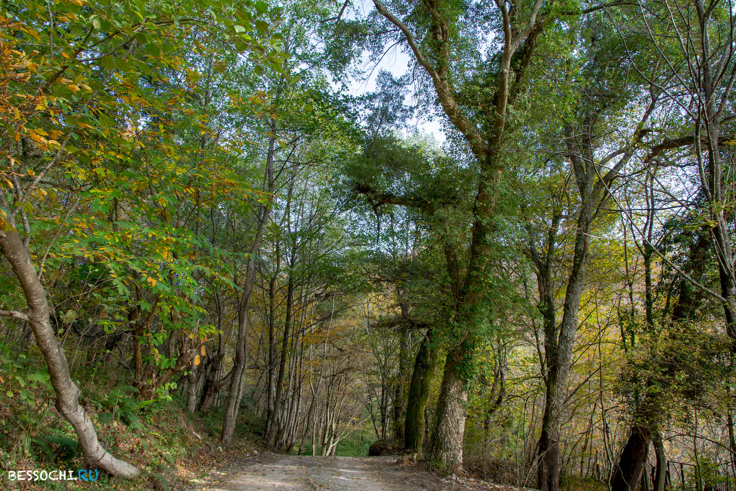 гора Овсянникова