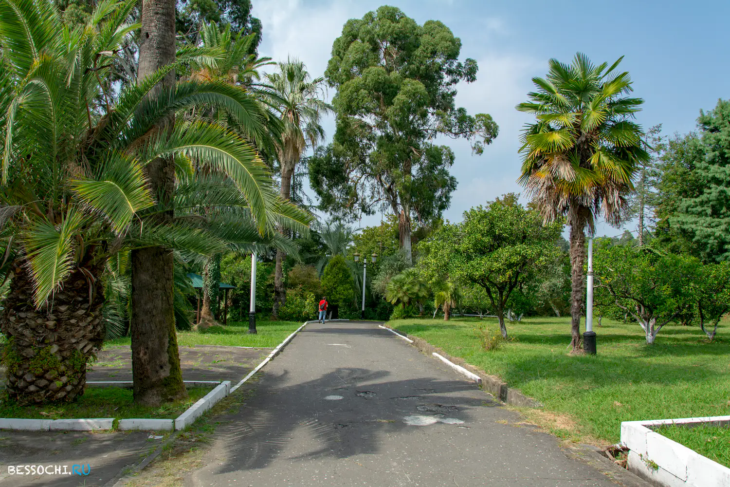 Сухум дендропарк