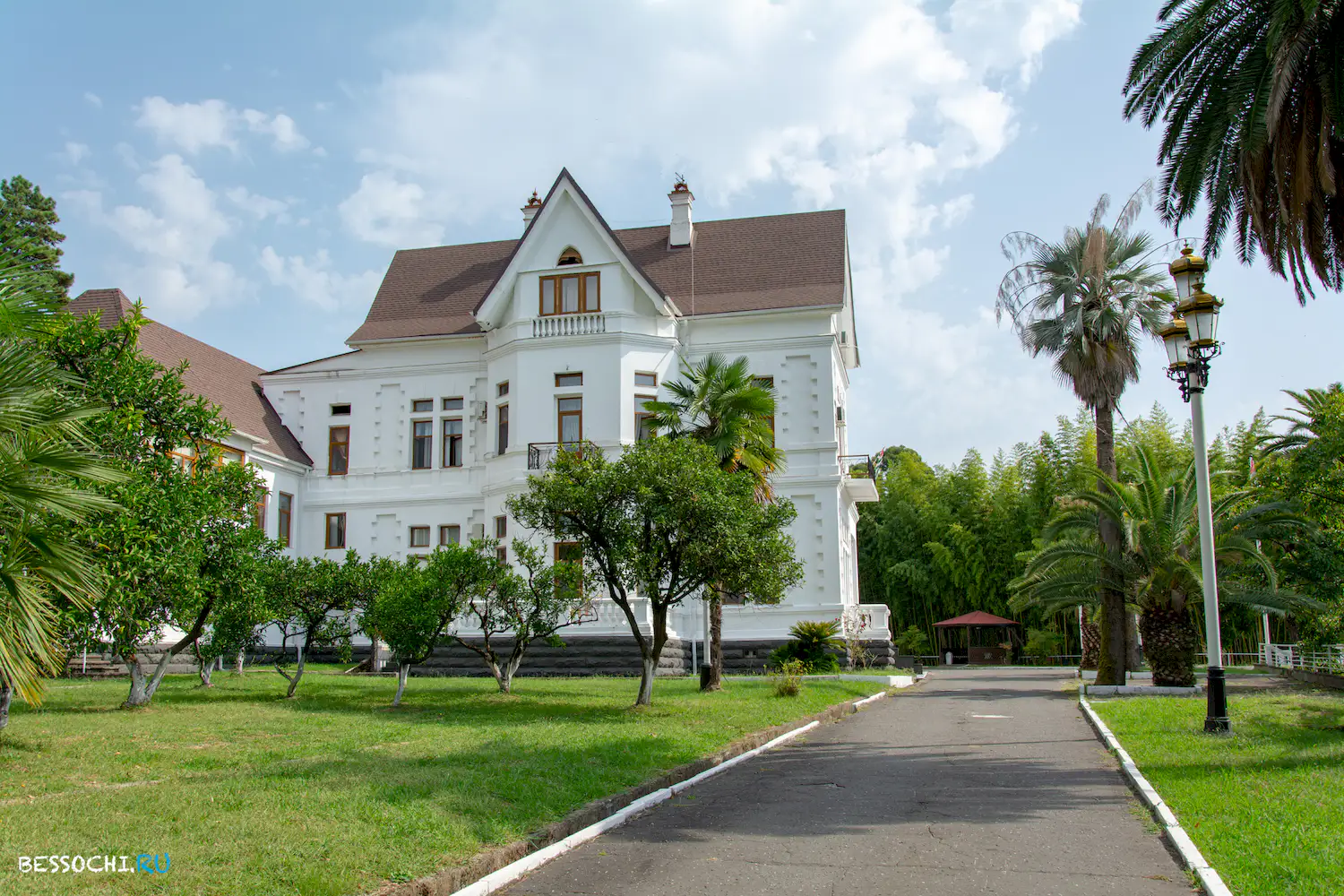 Сухум дендропарк