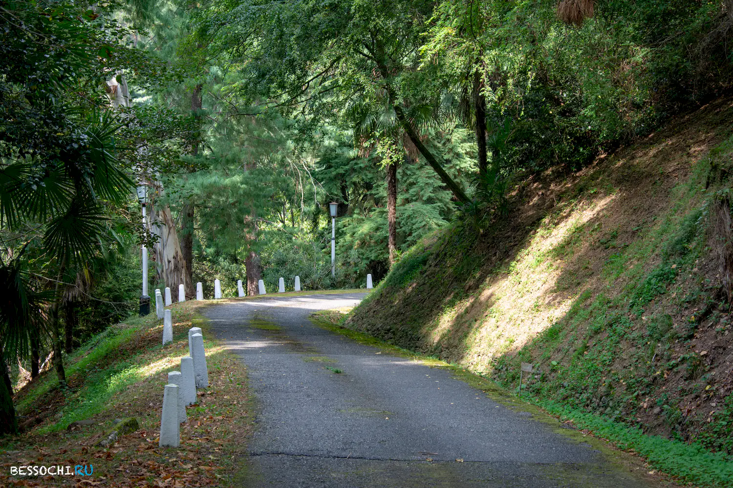 Сухум дендропарк