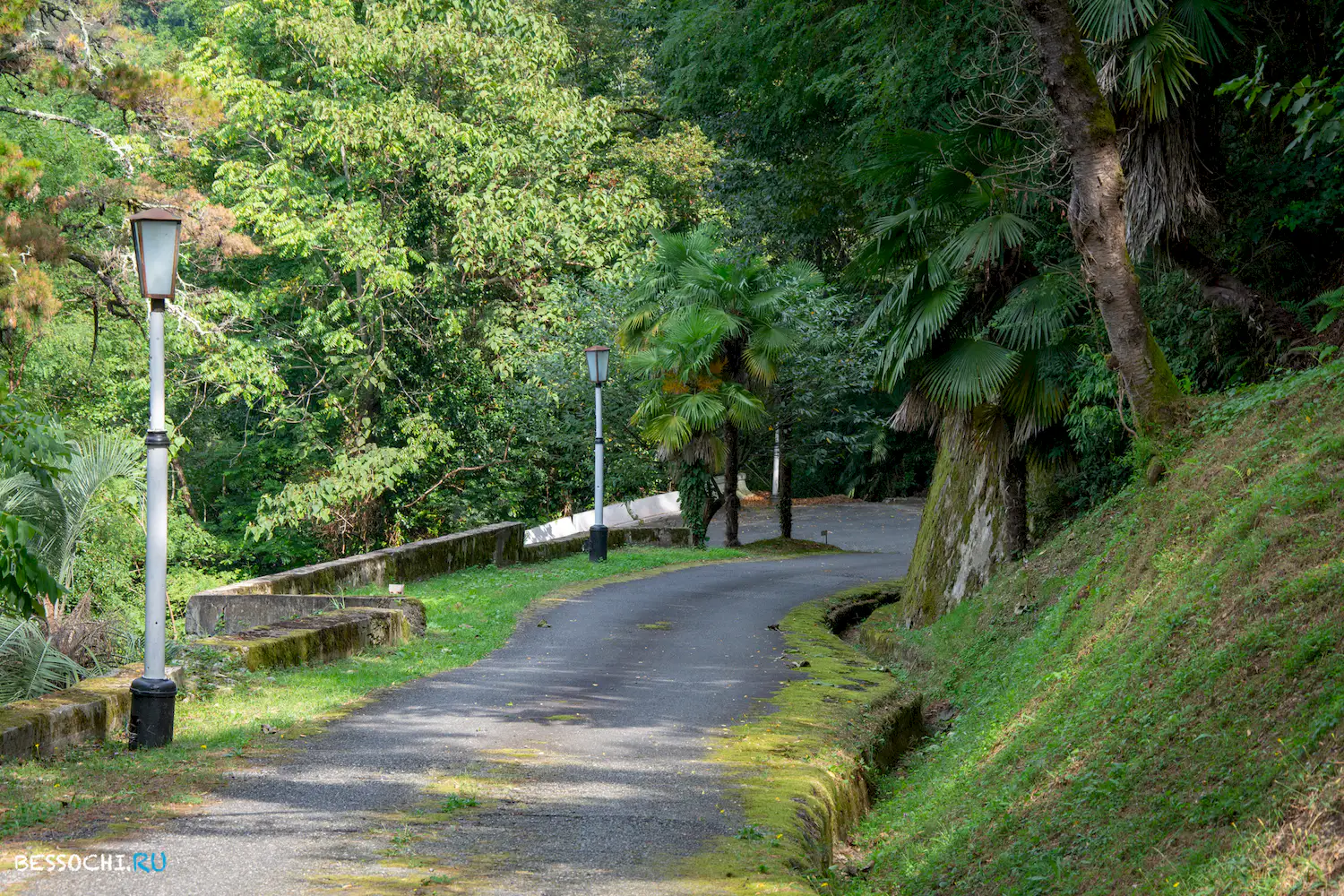 Сухум дендропарк