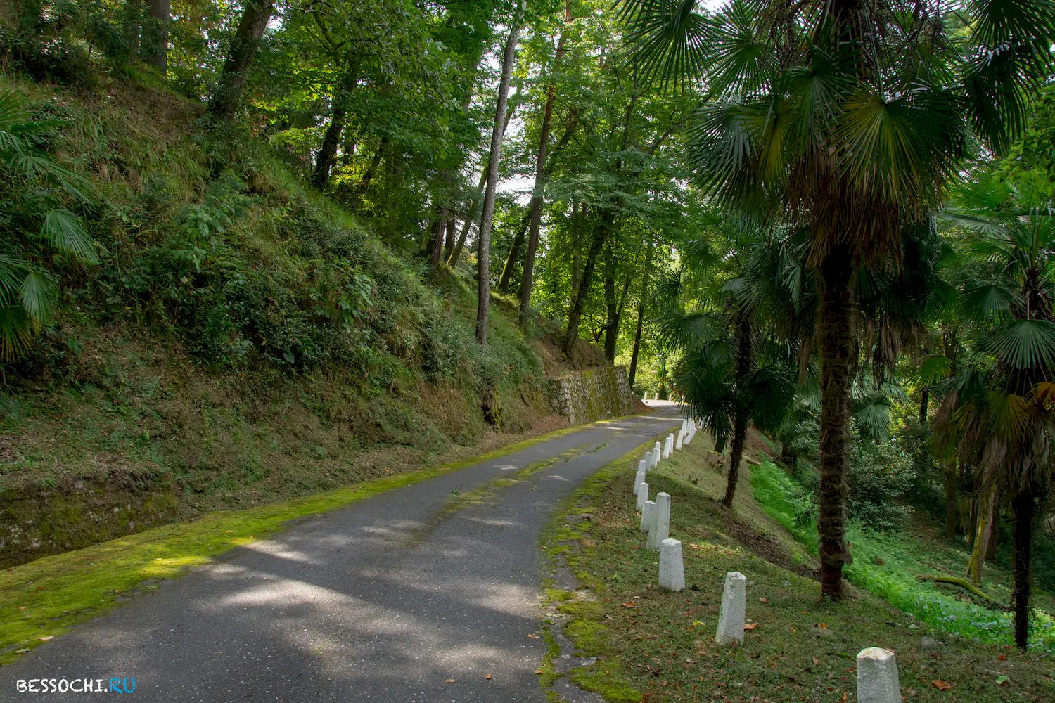 Сухум дендропарк