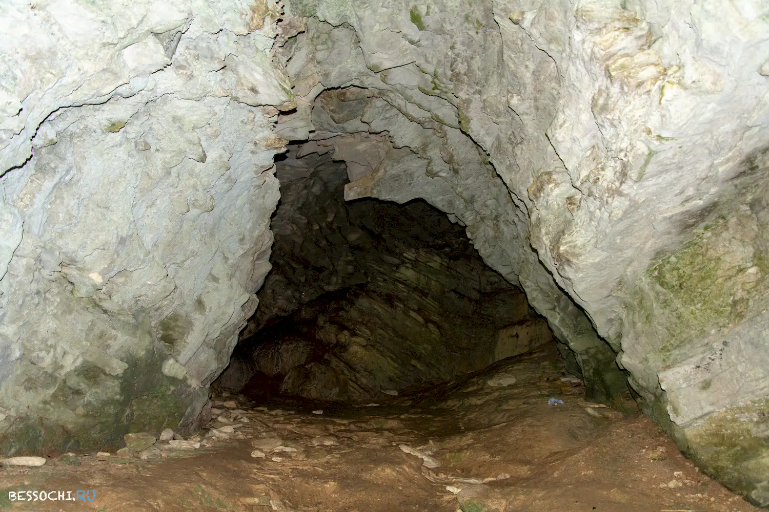 Самшитовая роща