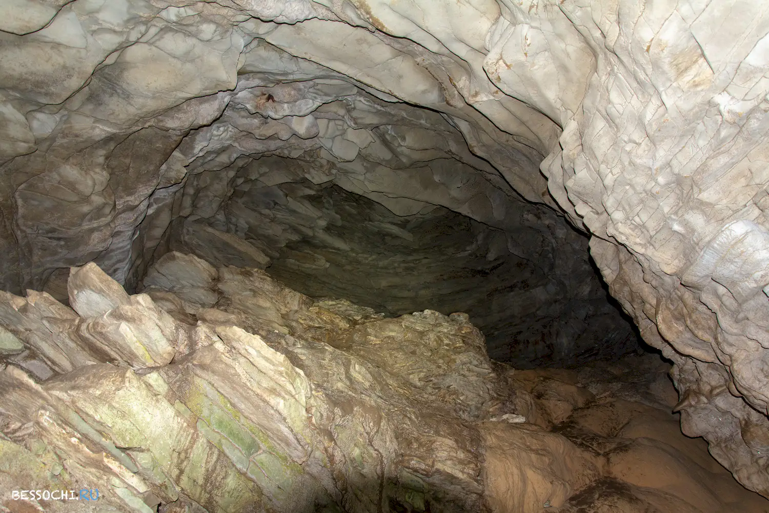 Самшитовая роща