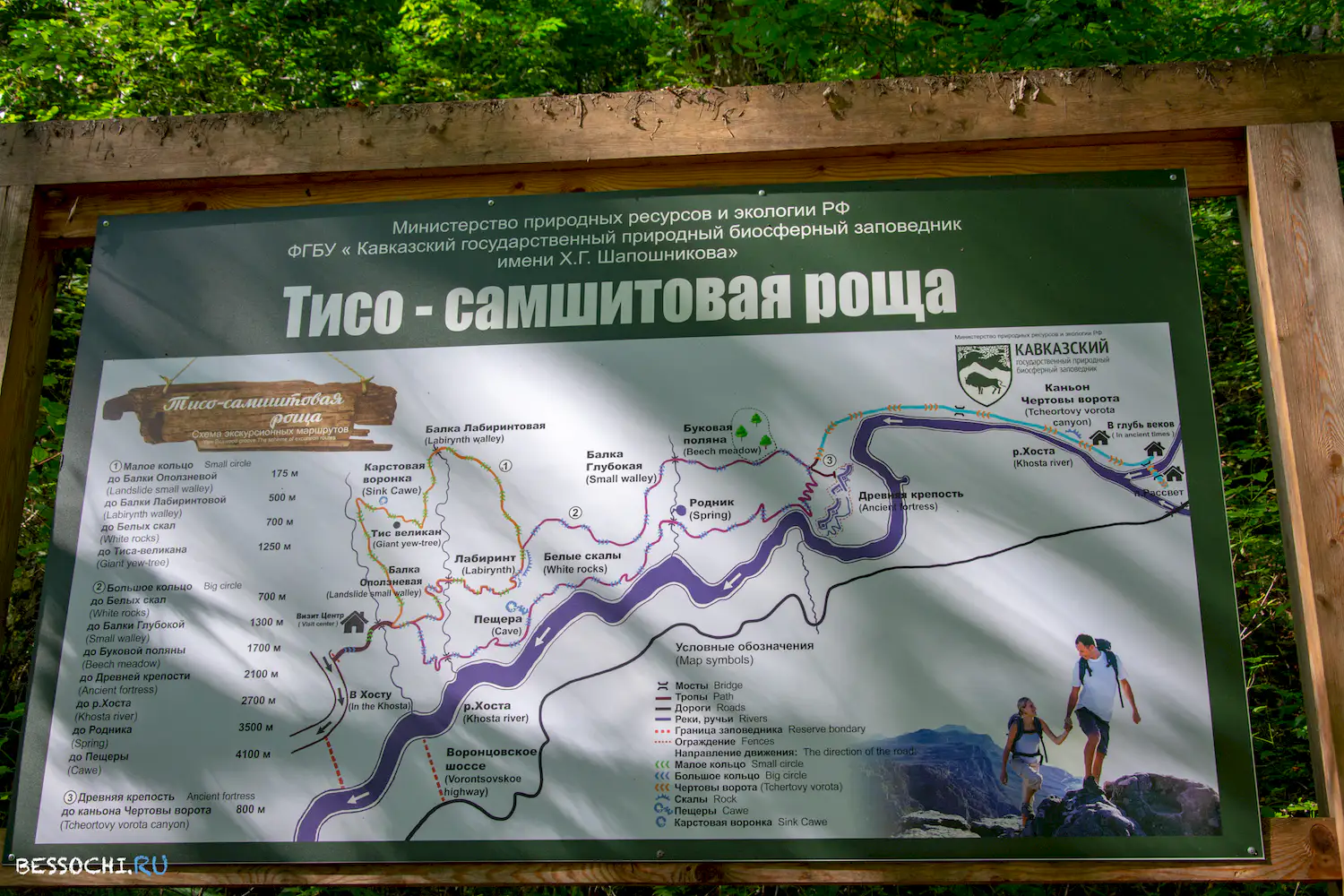 Самшитовая роща