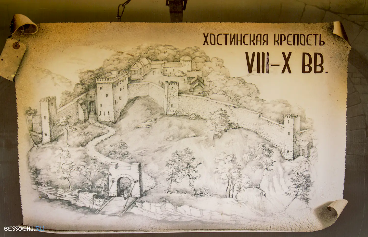 Самшитовая роща