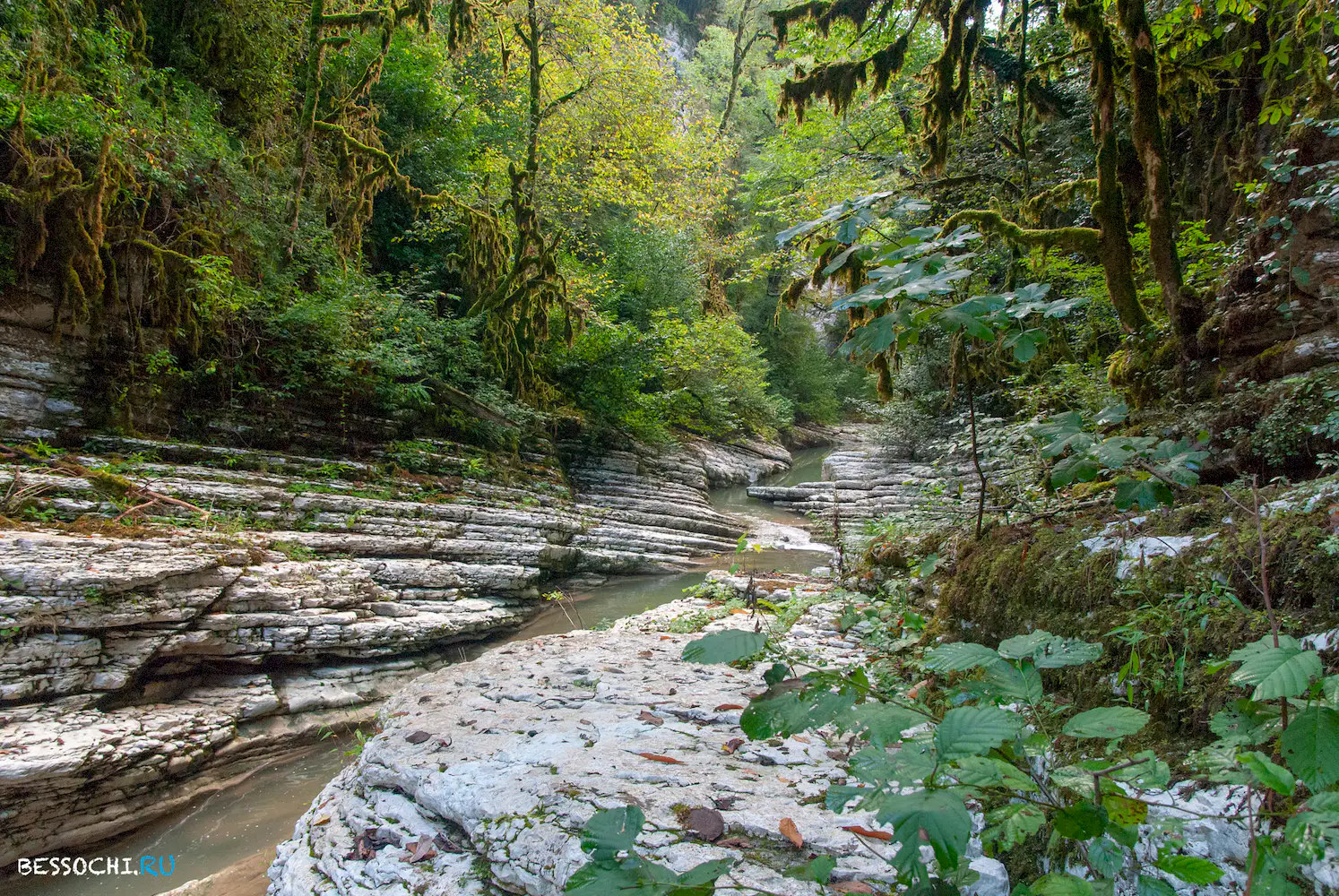 Мокрый Псахо