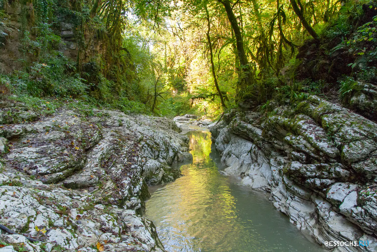 Мокрый Псахо