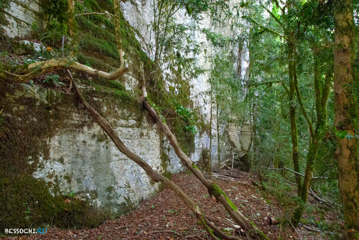 пещера Колокольная