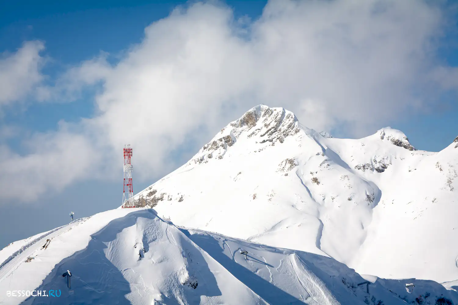 Альпика-сервис