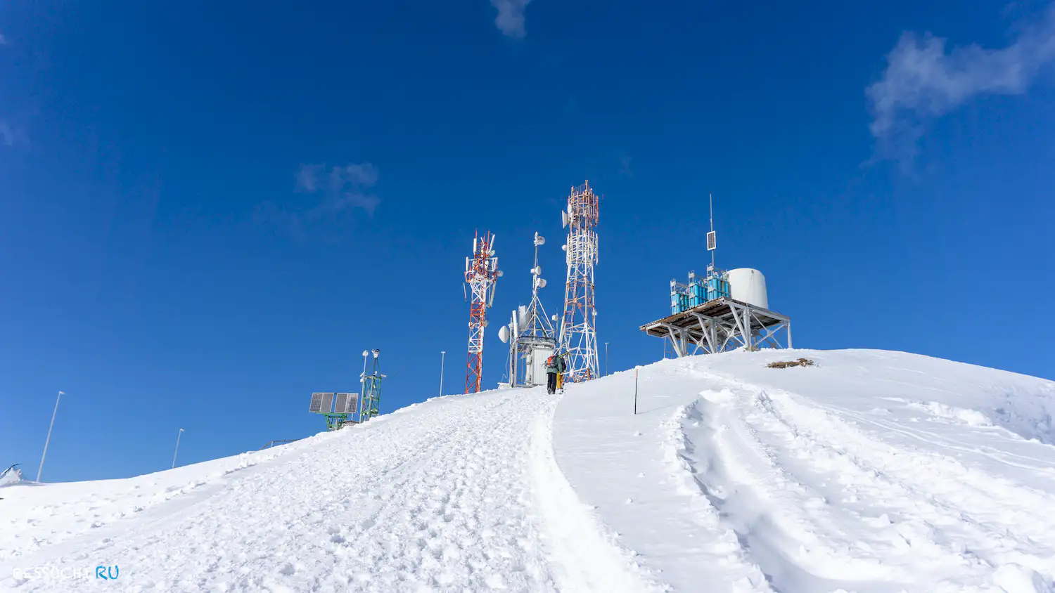 Альпика-сервис