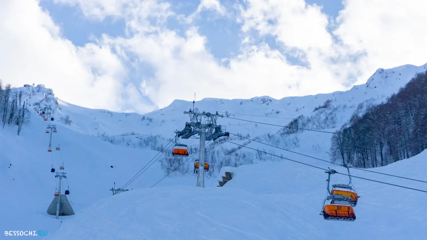 Альпика-сервис