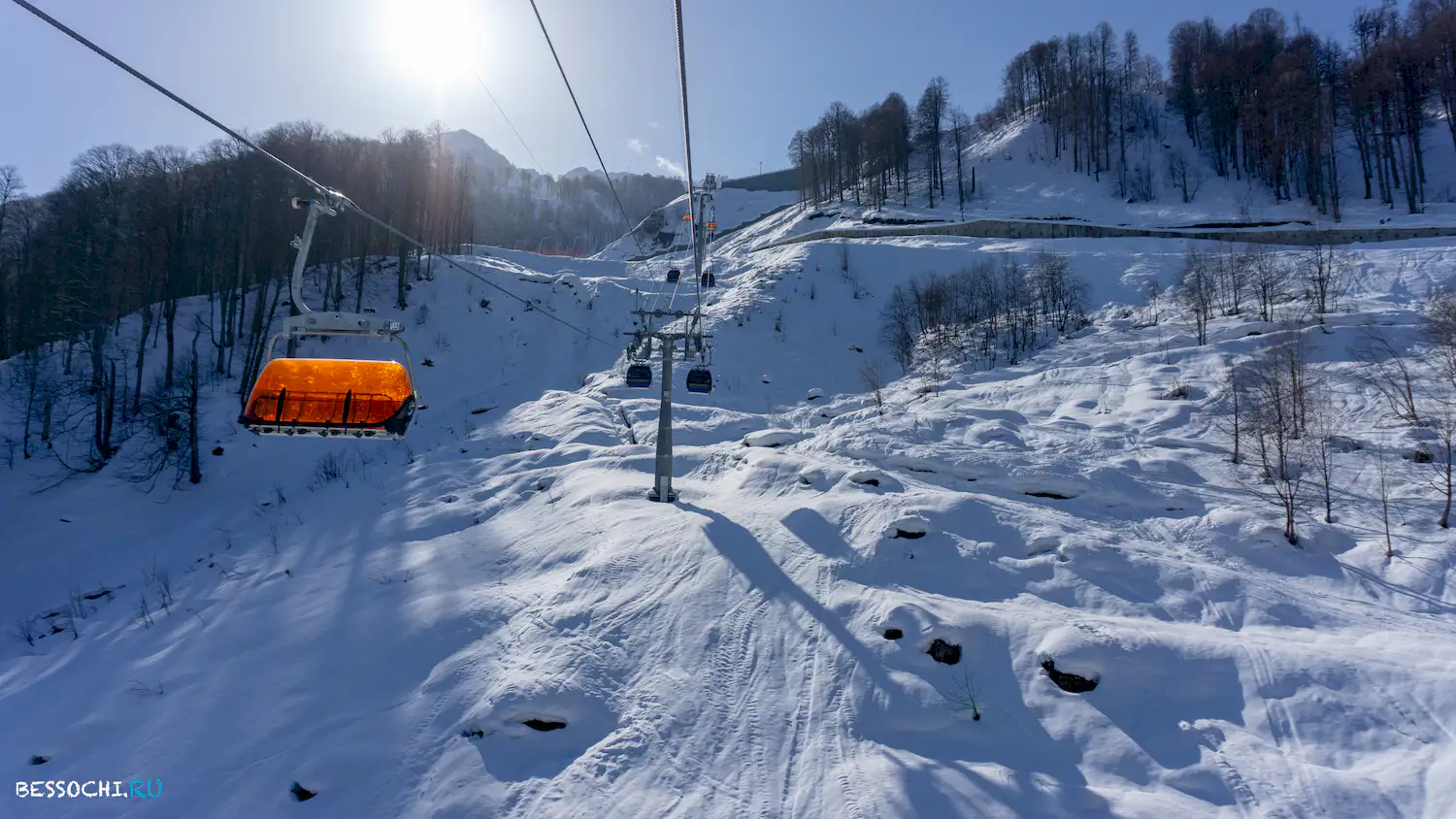 Альпика-сервис