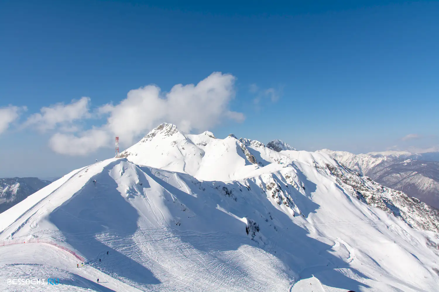 Альпика-сервис