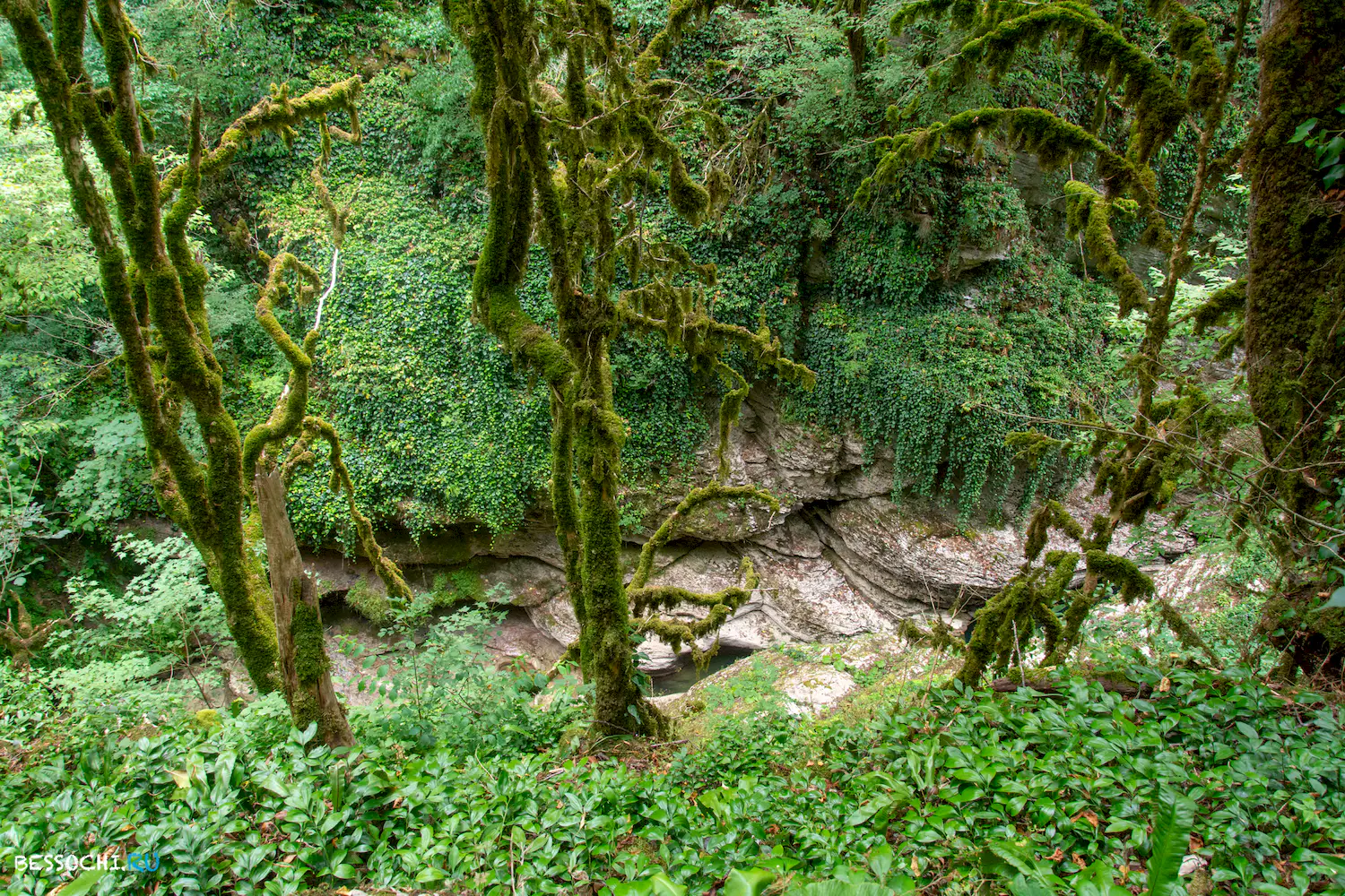 Кудепстинский каньон