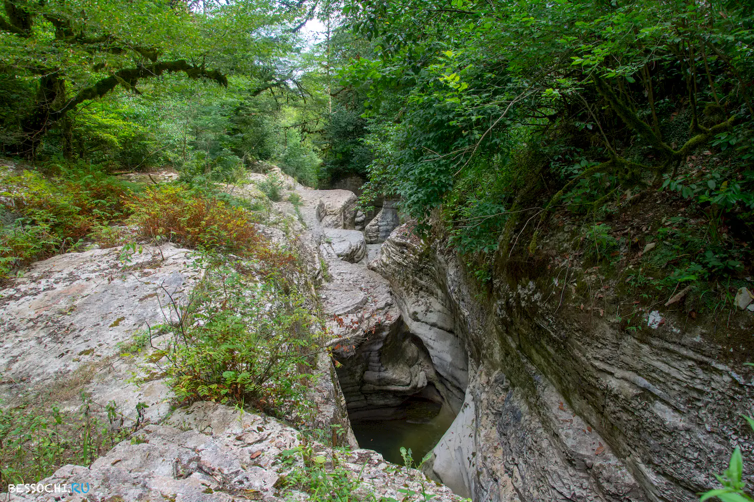 Кудепстинский каньон