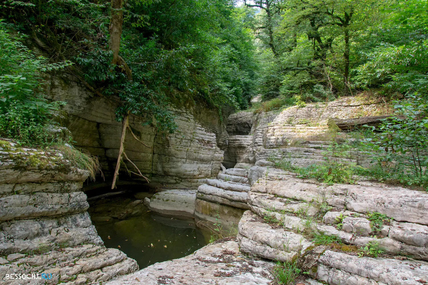 Кудепстинский каньон