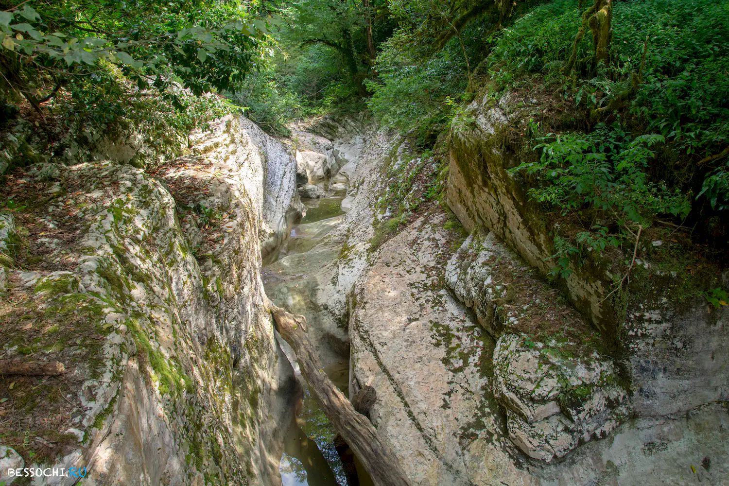 Кудепстинский каньон