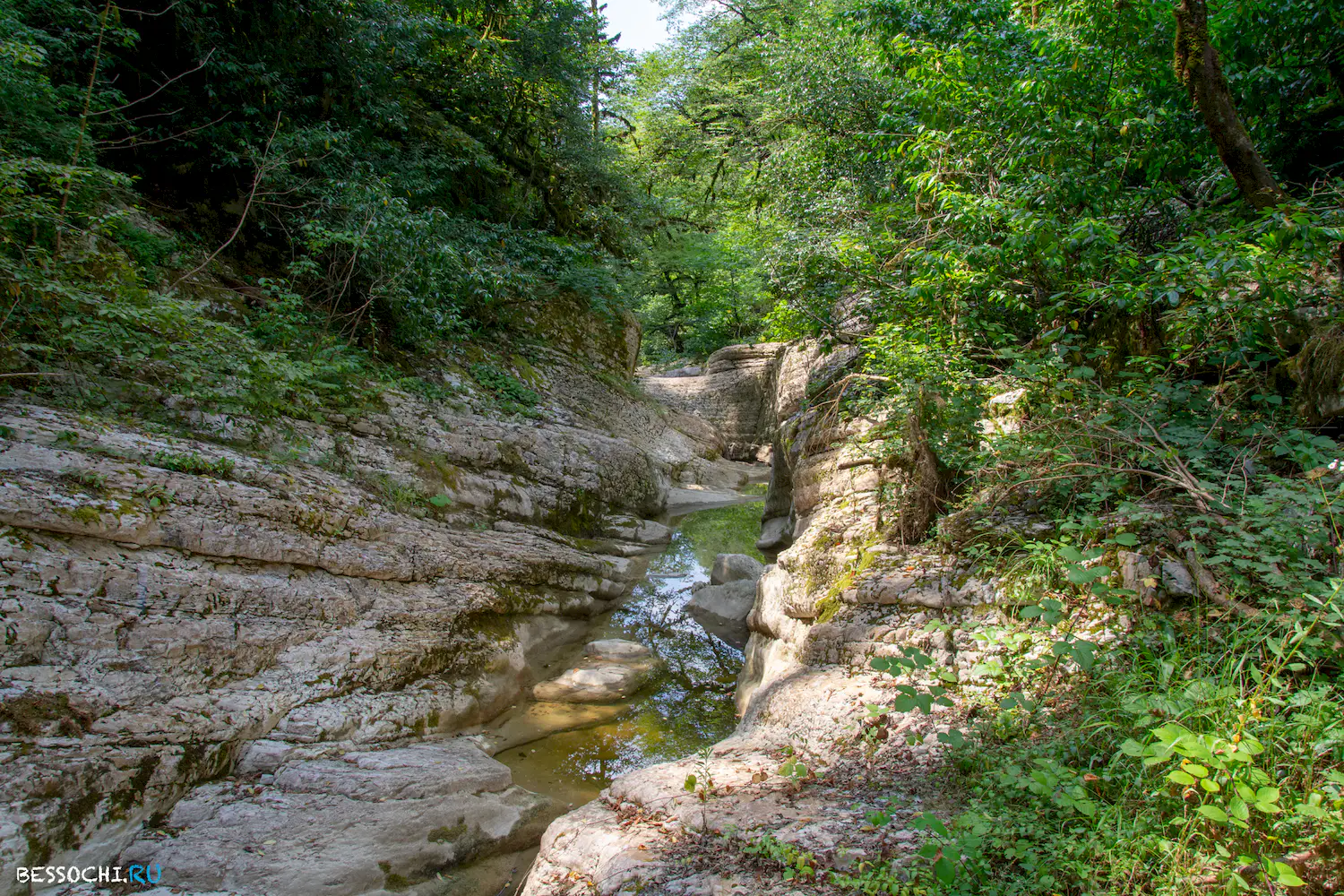 Кудепстинский каньон