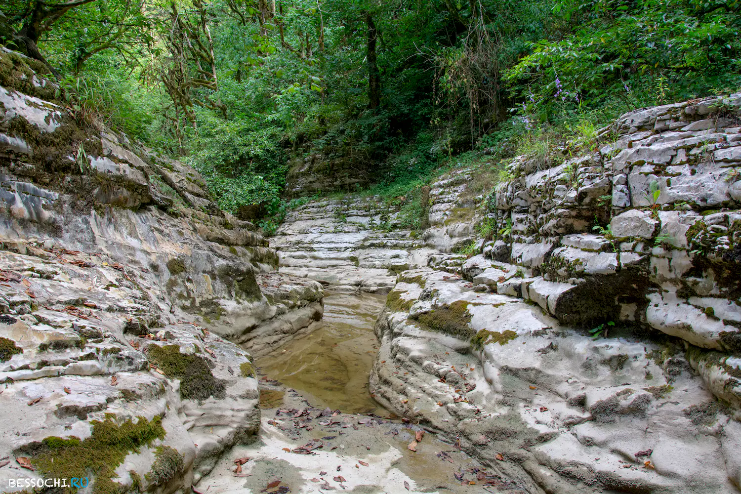 Кудепстинский каньон