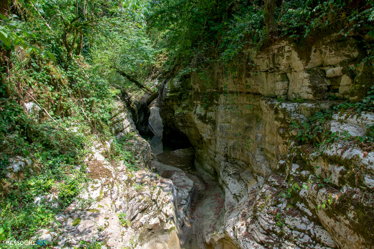 Кудепстинский каньон