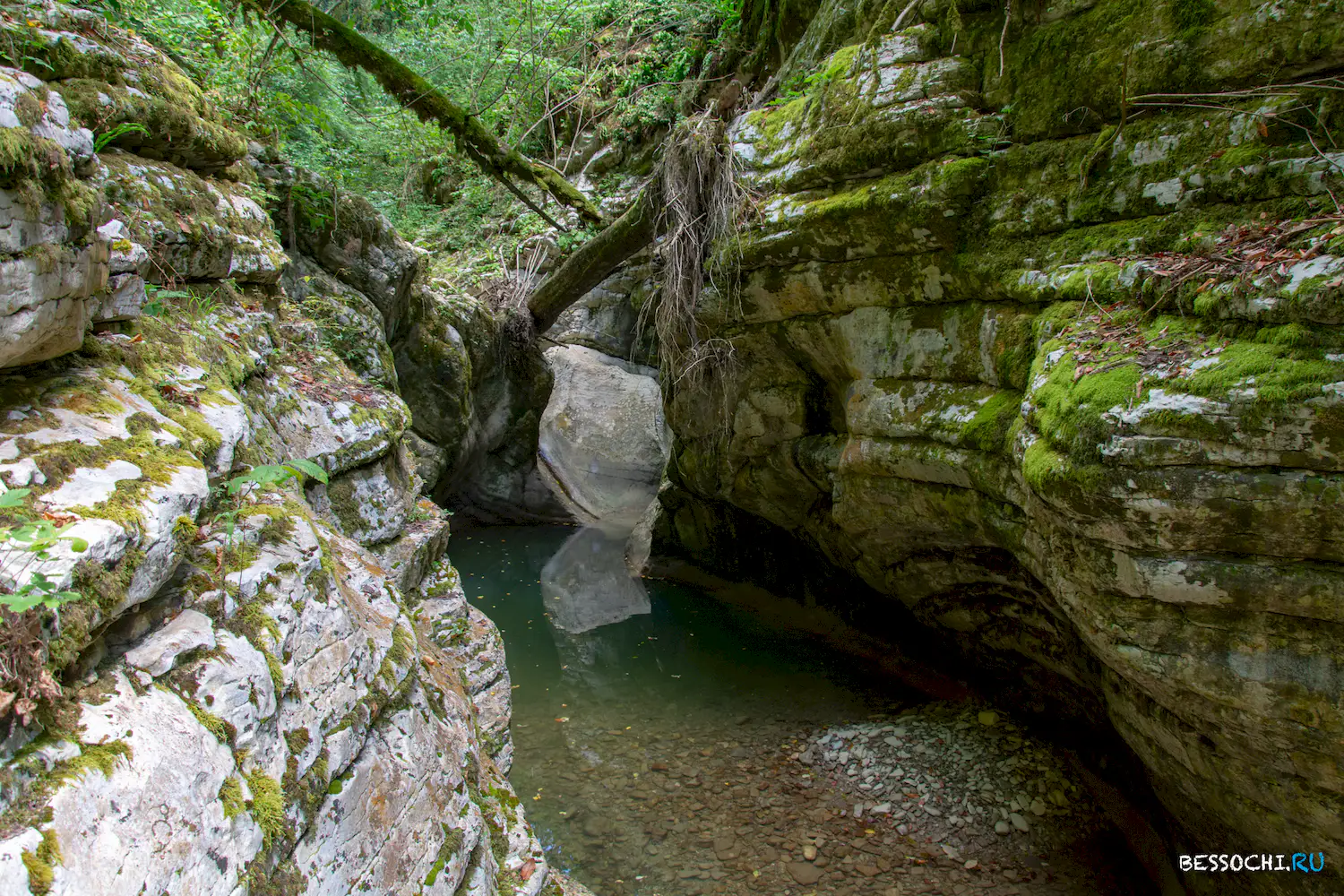 Кудепстинский каньон