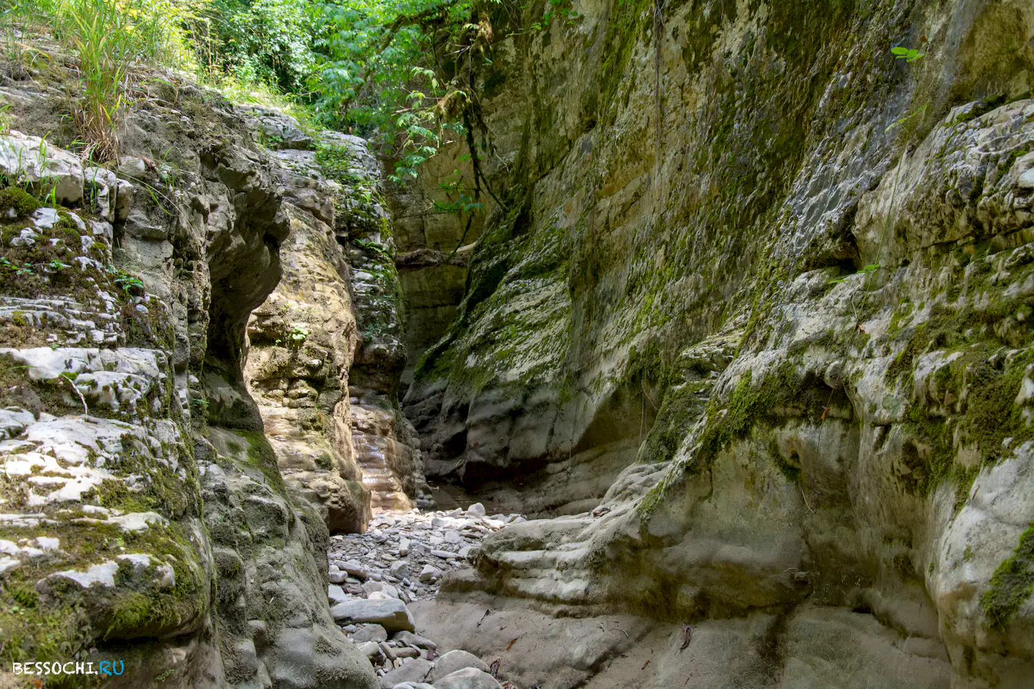 Кудепстинский каньон