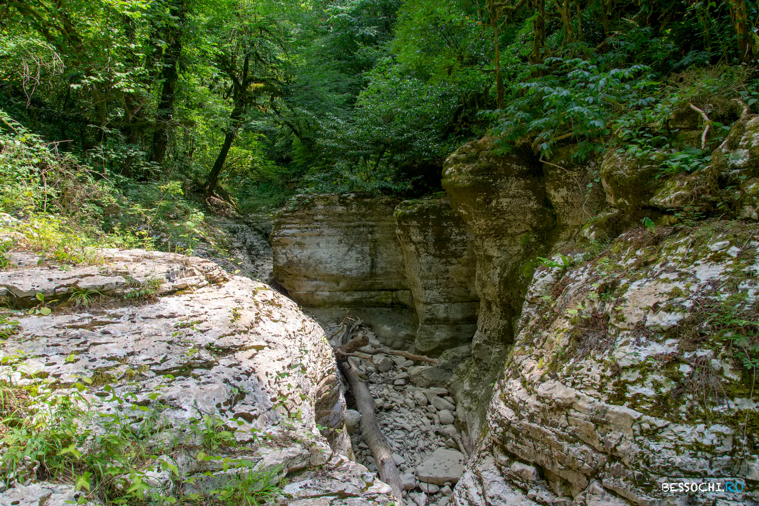 Кудепстинский каньон