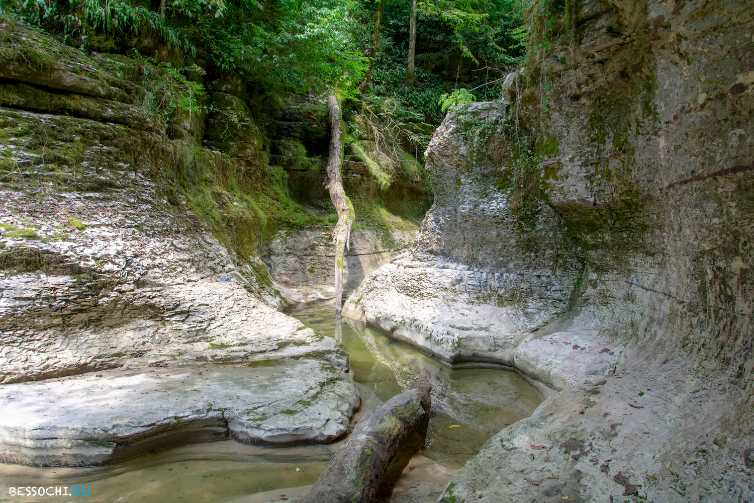 Кудепстинский каньон