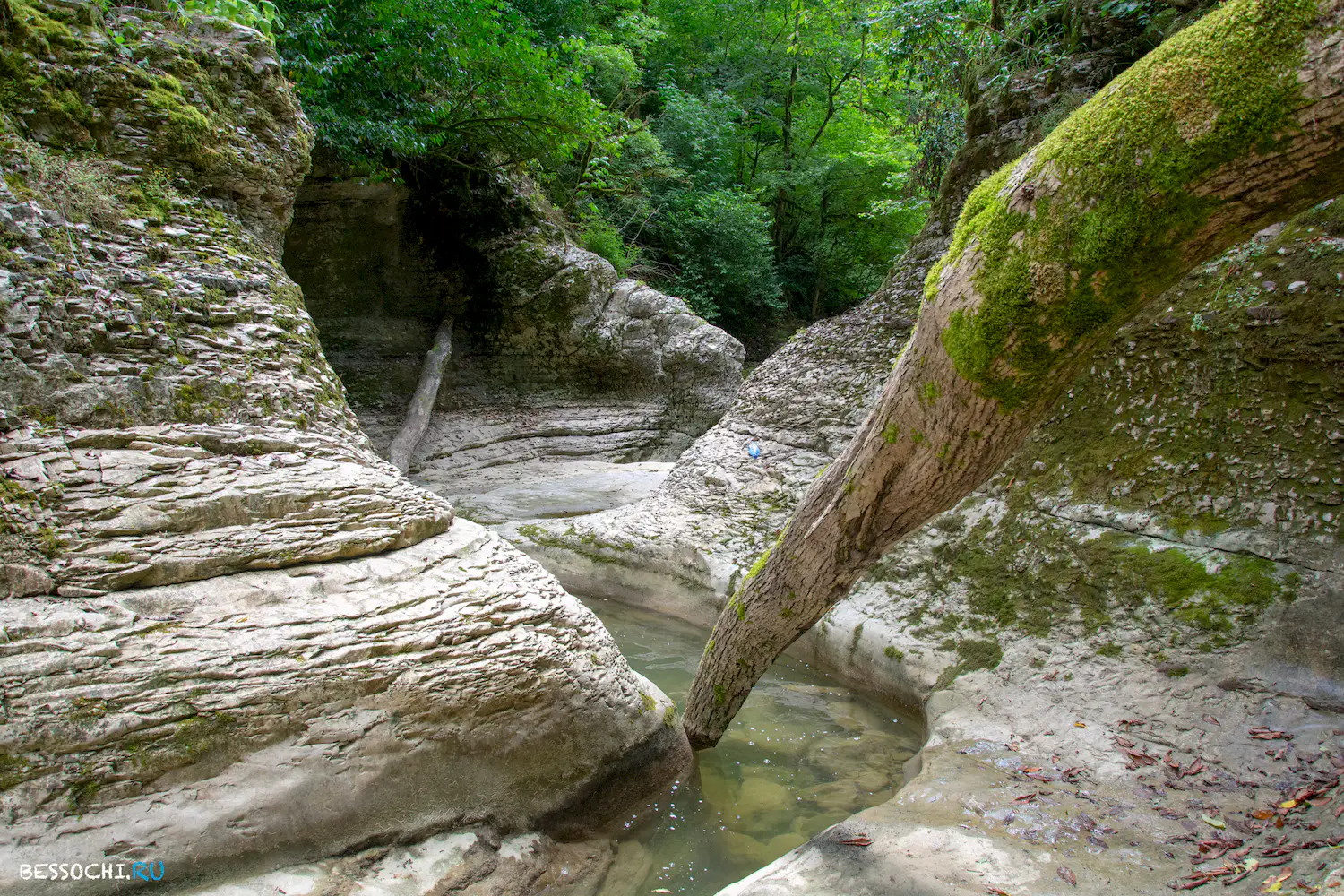 Кудепстинский каньон