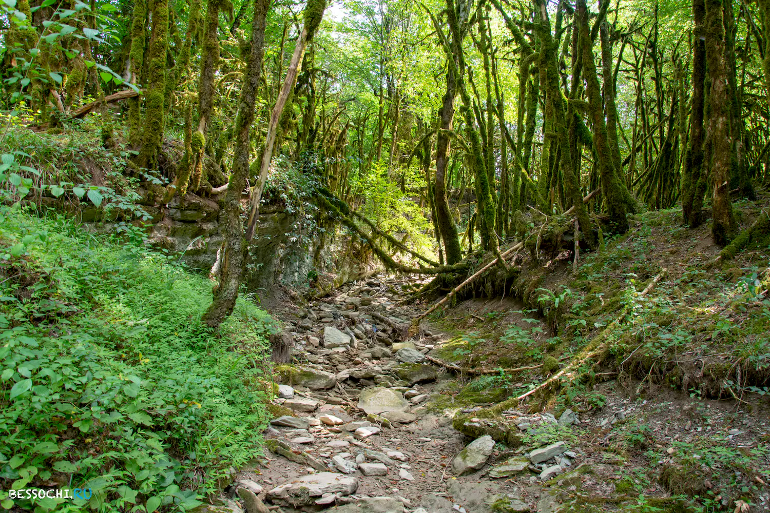 Кудепстинский каньон