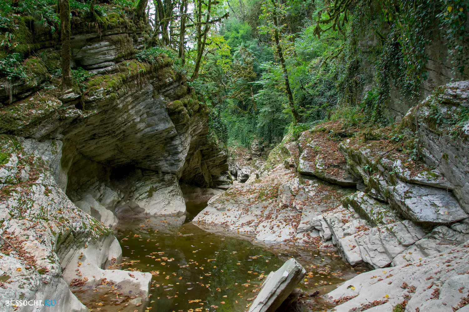 Кудепстинский каньон