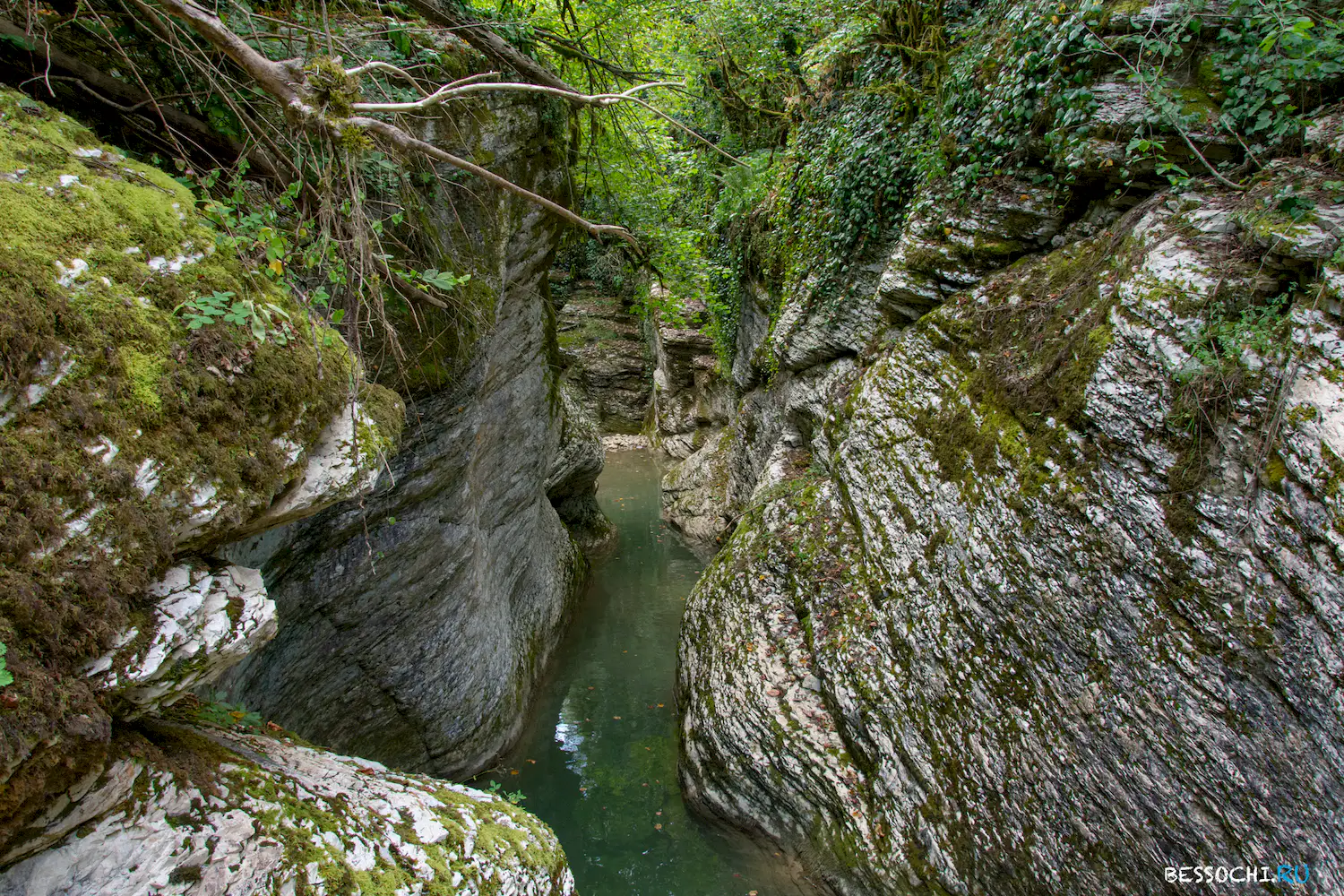 Кудепстинский каньон