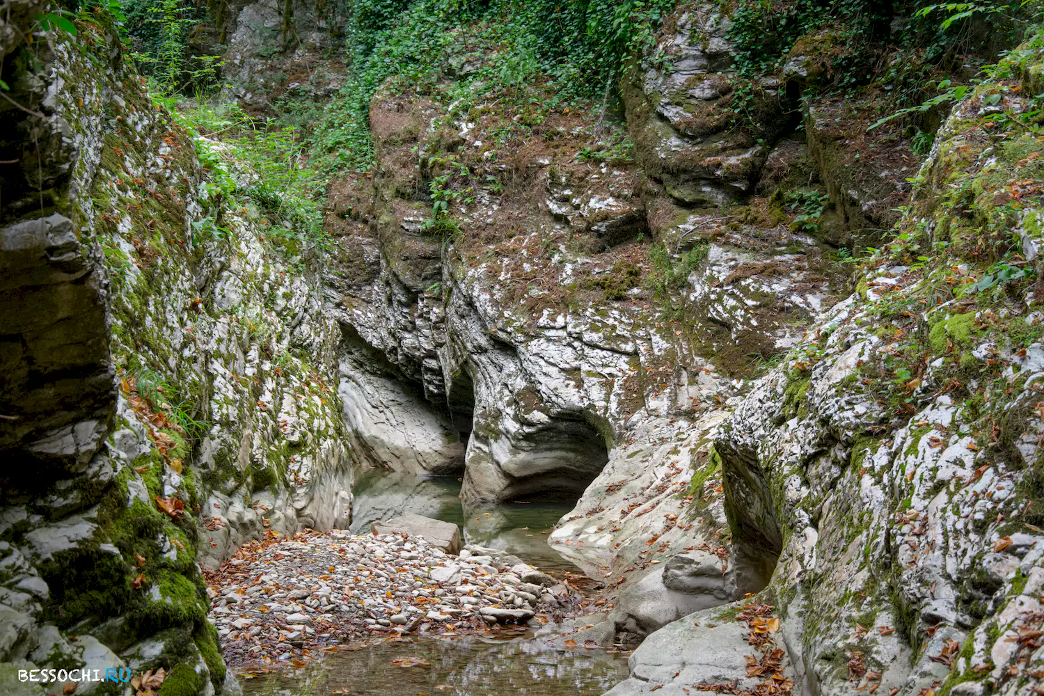 Кудепстинский каньон