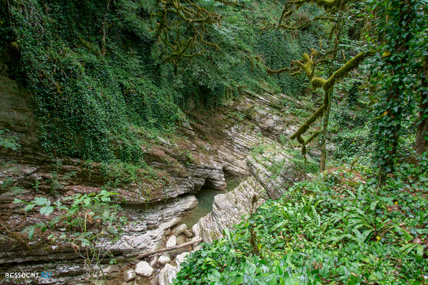 Кудепстинский каньон