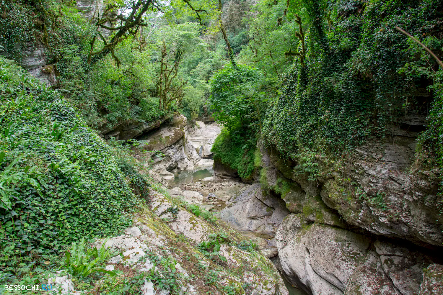 Кудепстинский каньон