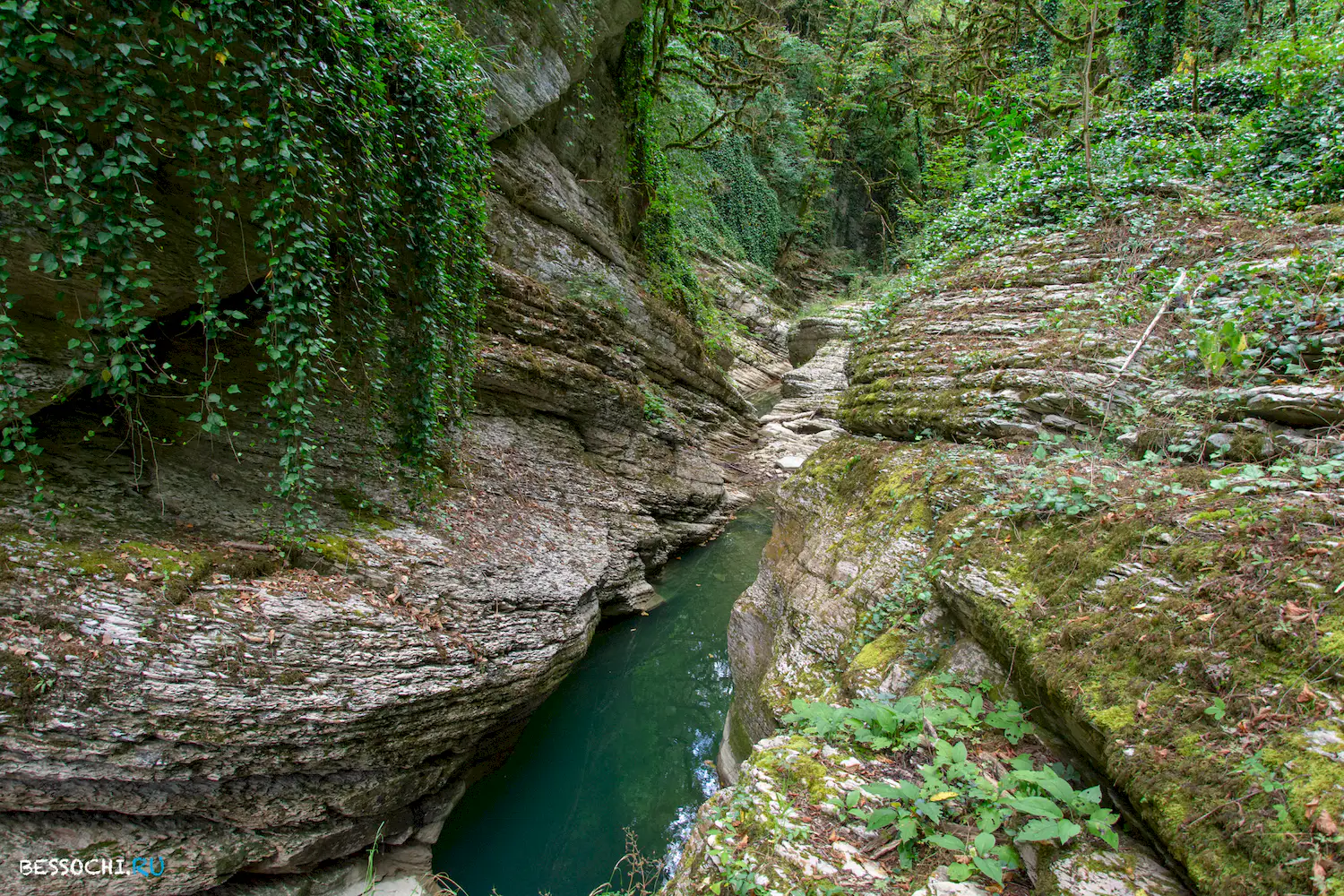 Кудепстинский каньон