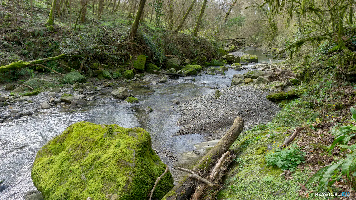 Райское наслаждение