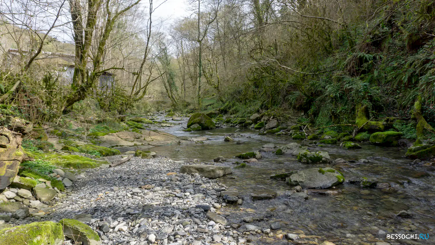 Райское наслаждение