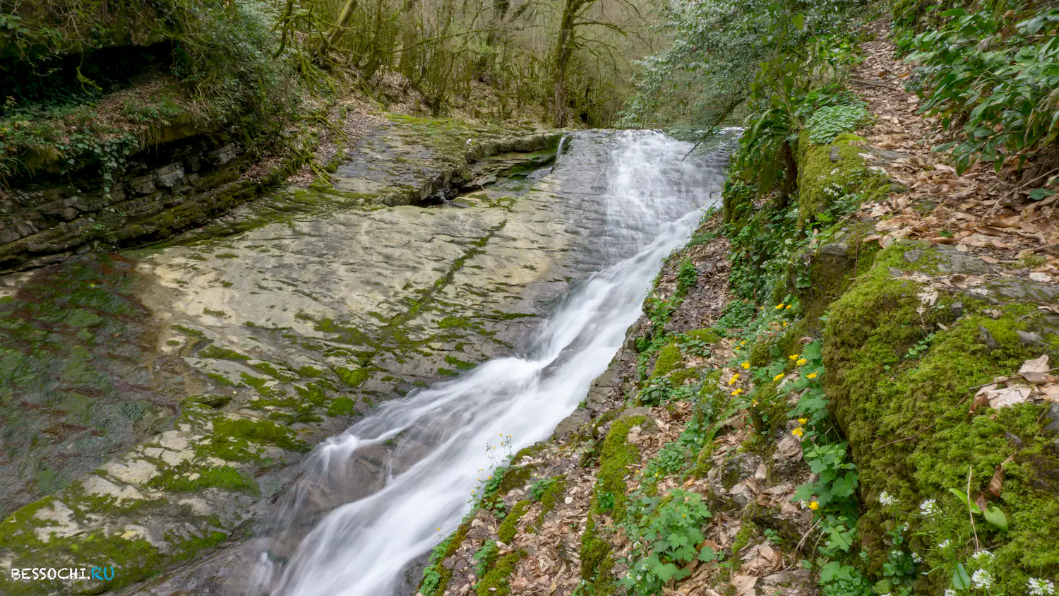 Райское наслаждение