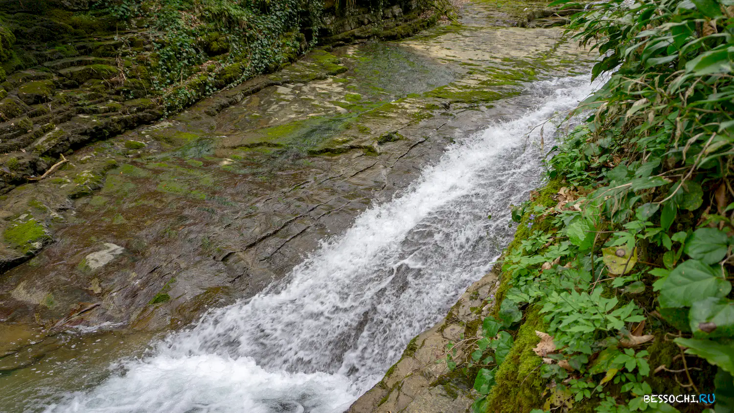 Райское наслаждение