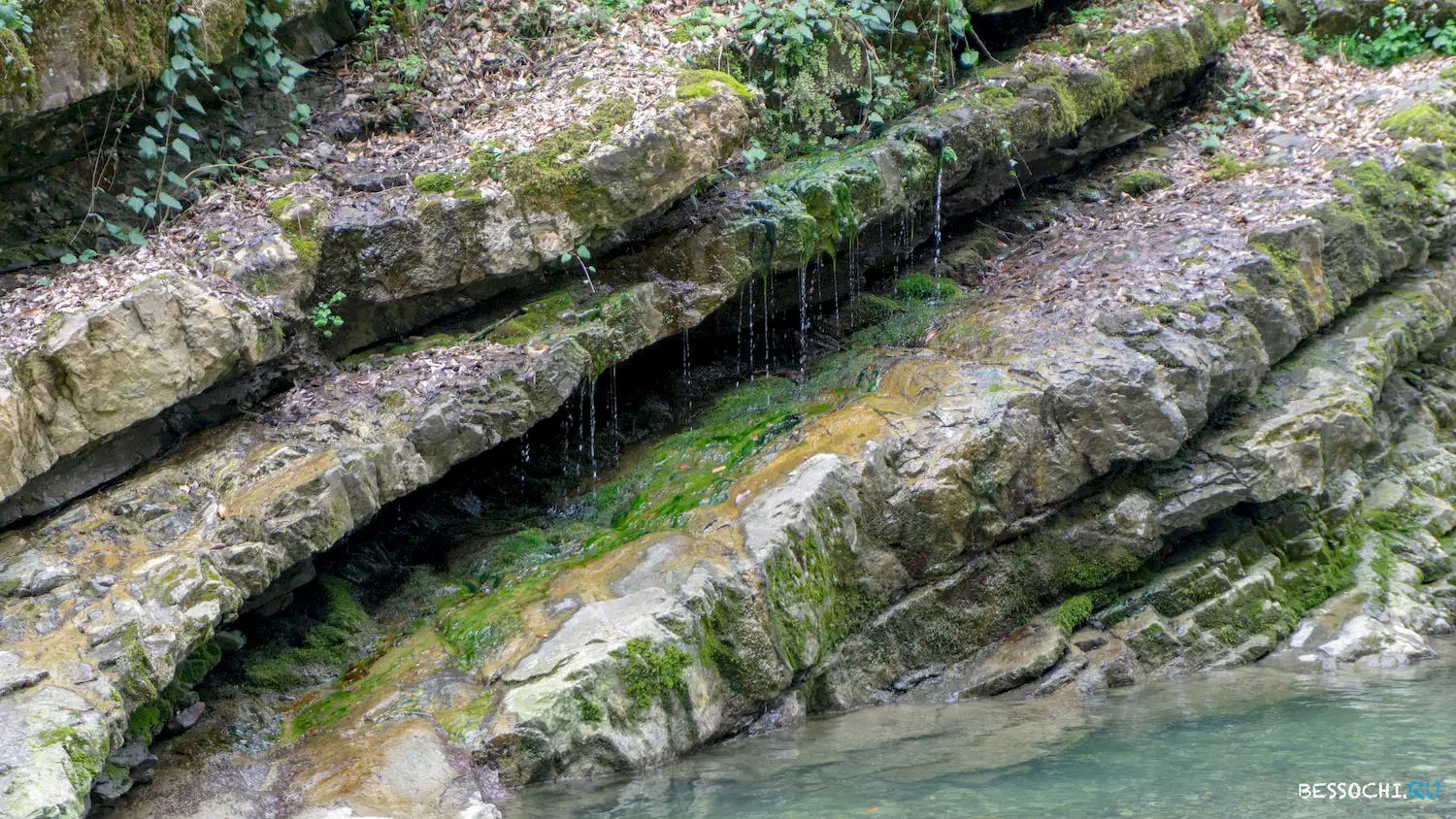 Райское наслаждение