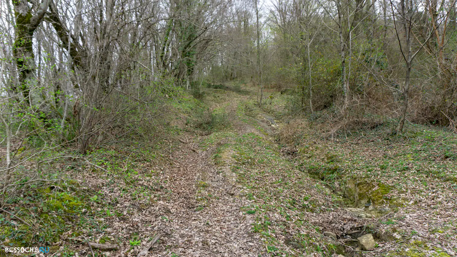 Райское наслаждение