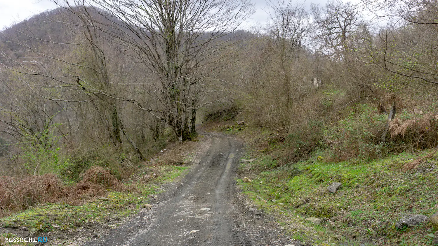 Райское наслаждение