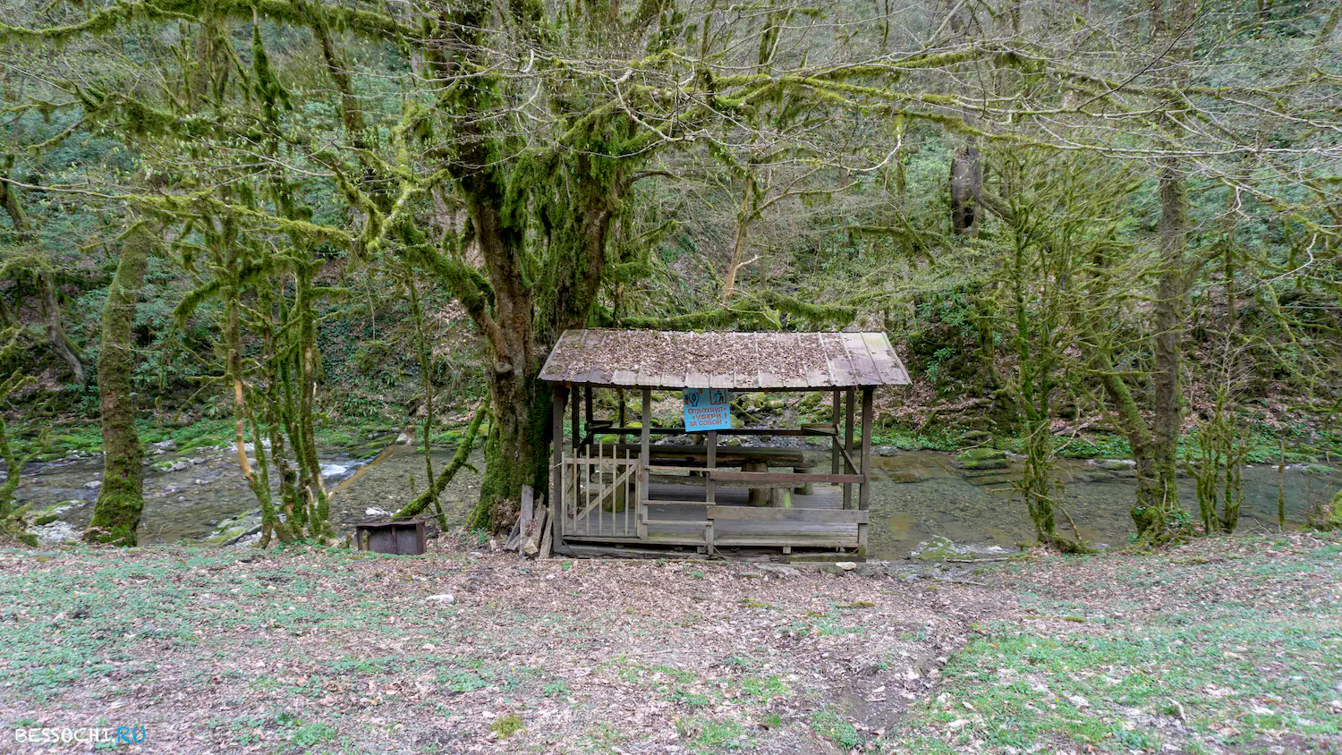 Райское наслаждение