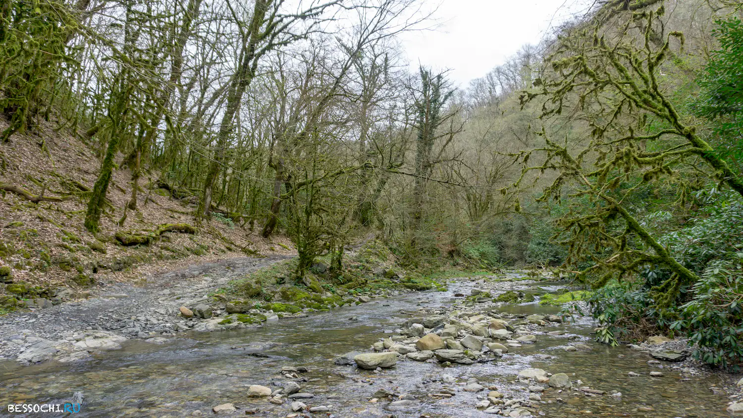 Райское наслаждение