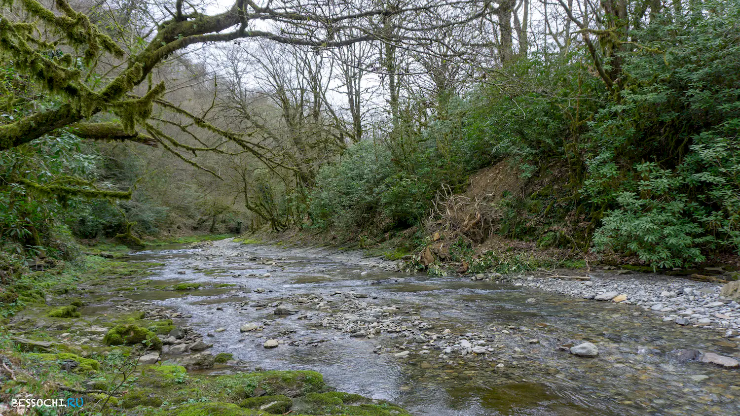 Райское наслаждение