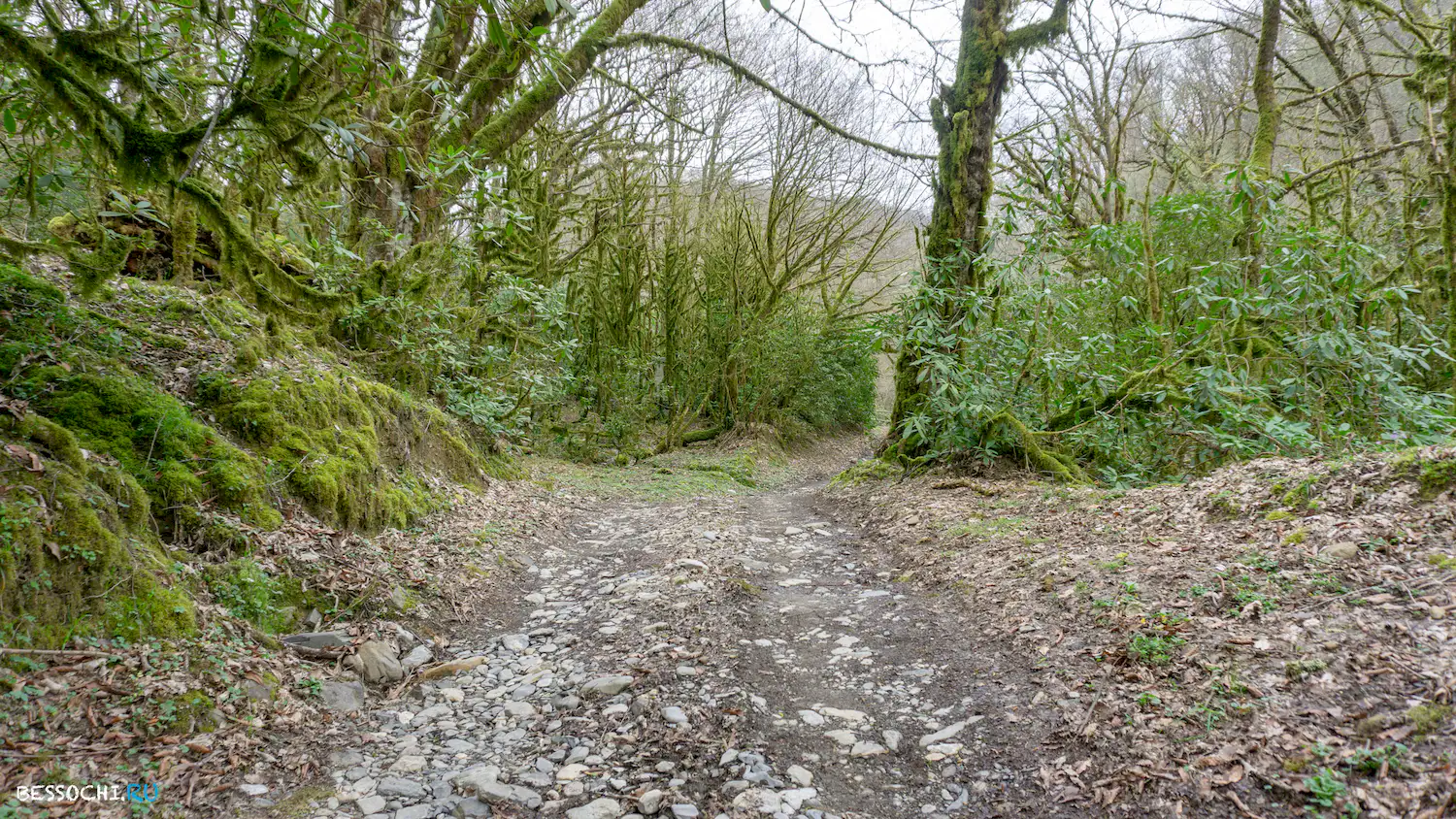 Райское наслаждение