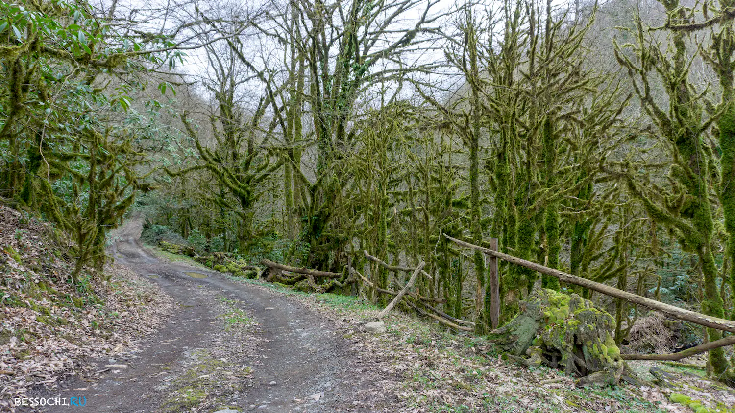 Райское наслаждение